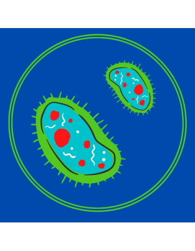 Combinaisons jetables