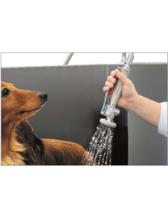 Auto Clean Dog 2