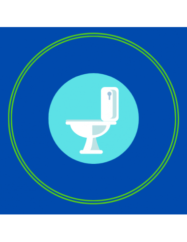 Détartrant sanitaire acide pour un nettoyage quotidien et périodique des toilettes. S200 Détartrant sanitaire acide pour un nettoyage quotidien et périodique des toilettes. S200