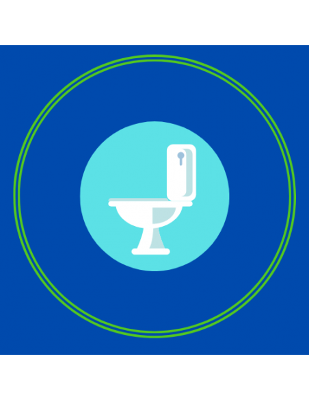 Détartrant sanitaire acide pour un nettoyage quotidien et périodique des toilettes. S200 Détartrant sanitaire acide pour un nettoyage quotidien et périodique des toilettes. S200